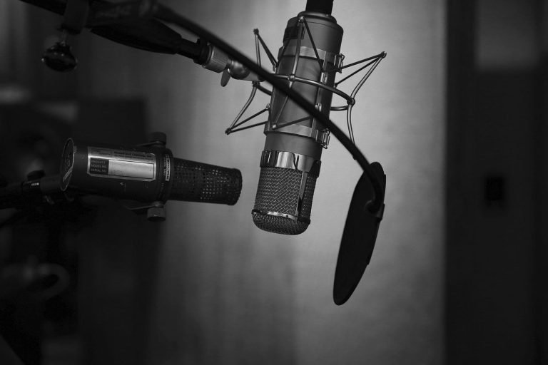 Dynamic microphone in recording studio